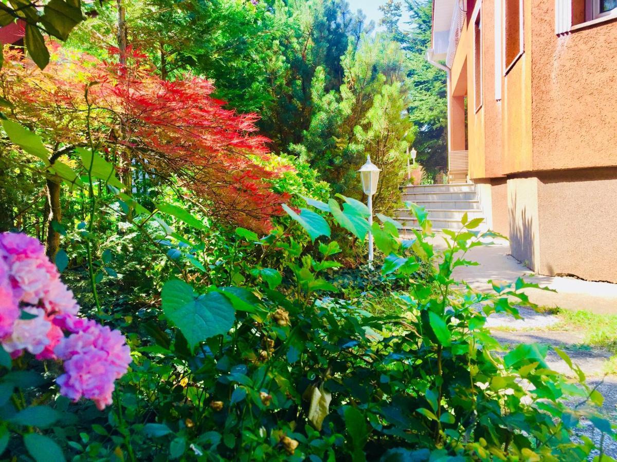 Apollo Inn Веленце Екстер'єр фото
