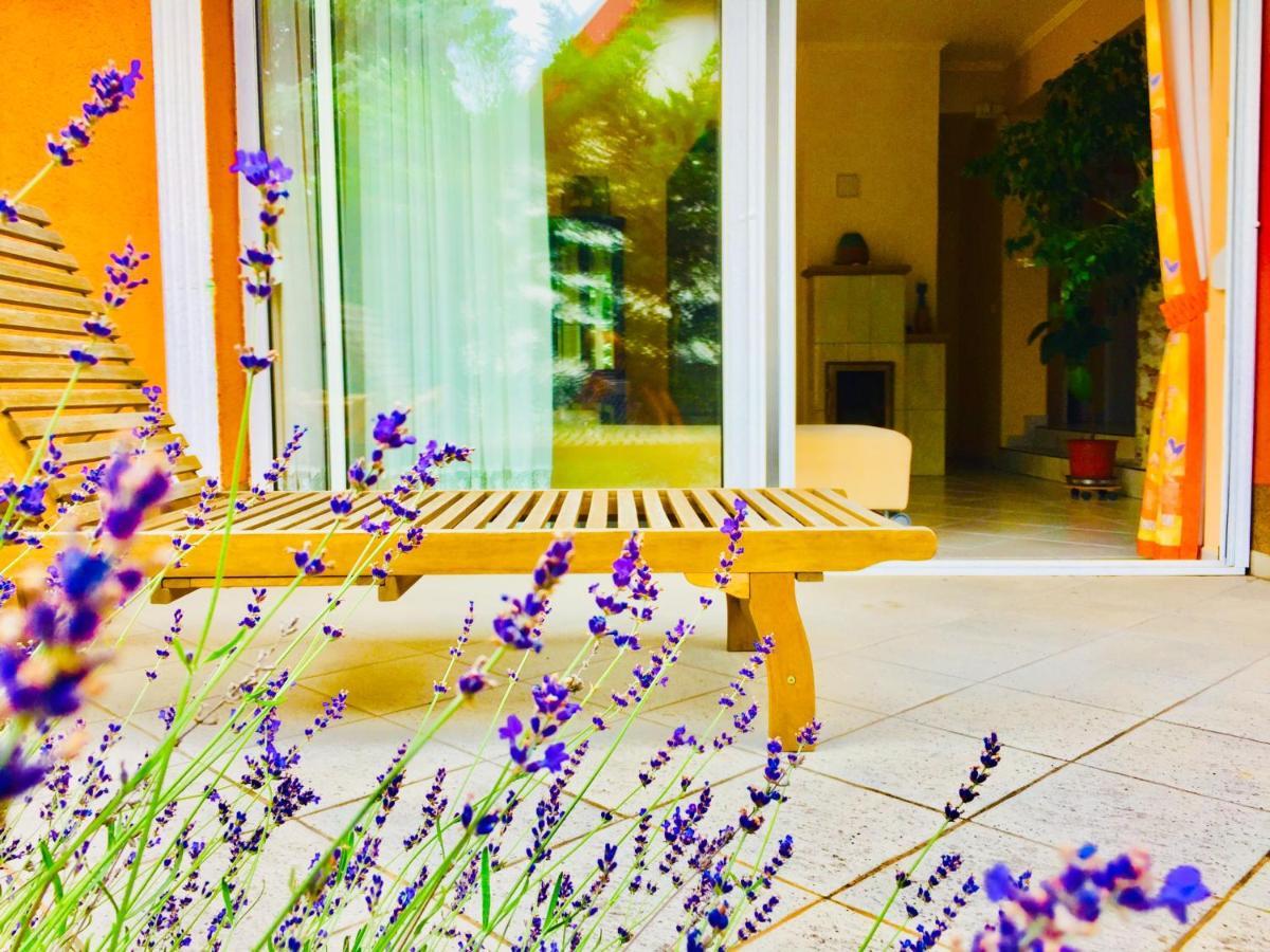Apollo Inn Веленце Екстер'єр фото